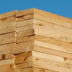 PINO CONSTRUCCION
