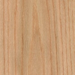 ROBLE ROJO AMERICANO FAS