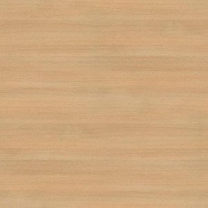 AGL PLAS ROBLE SORANO H1334.9