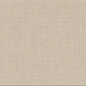 AGL PLAS TELA BEIGE F425.10