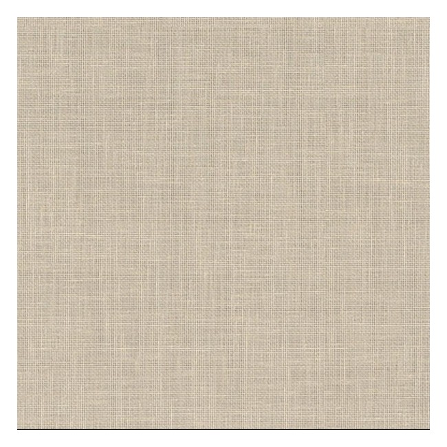 AGL PLAS TELA BEIGE F425.10